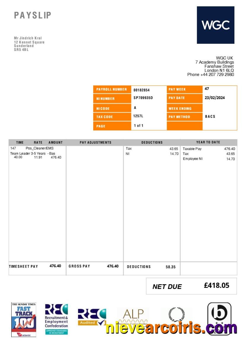 United Kingdom WGC cleaning service payslip